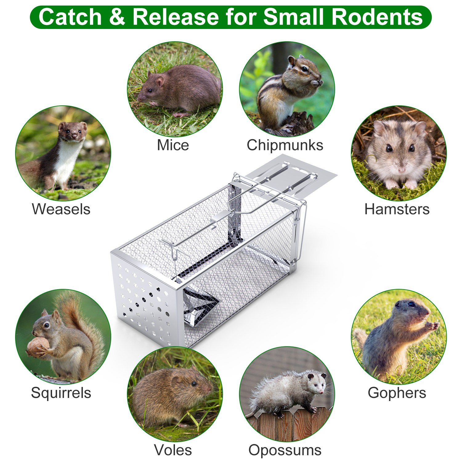 1Pc Single Door Rat Trap Cage Humane Rodent Trap Mouse Trap Indoor Outdoor For Small Rodents Mice Voles Hamsters — view 6