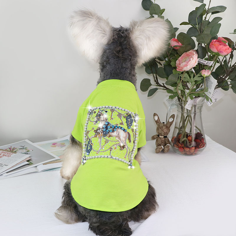 Title 6, Schnauzer Teddy Zomer T-shirt Dun Witte Paard I...