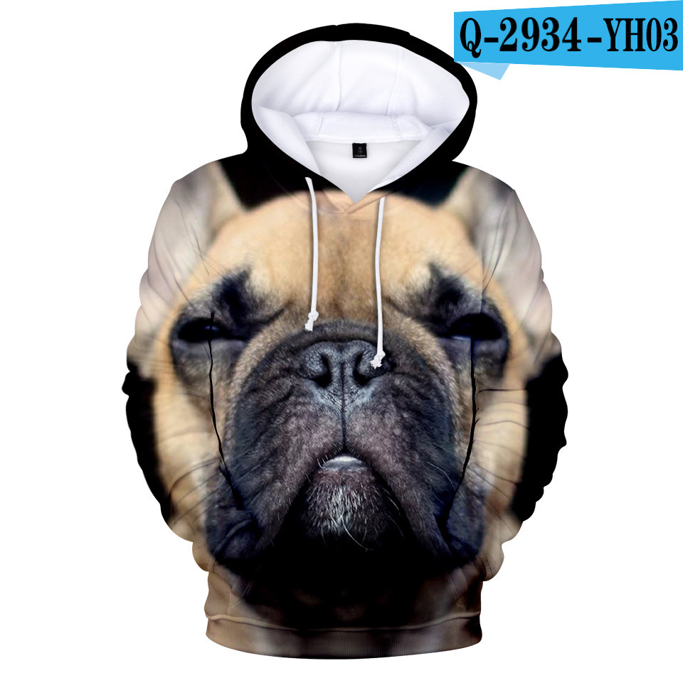 Title 4, Printed 3D Hooded Long Sleeve Sweatshirt