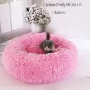 Bright Pink
