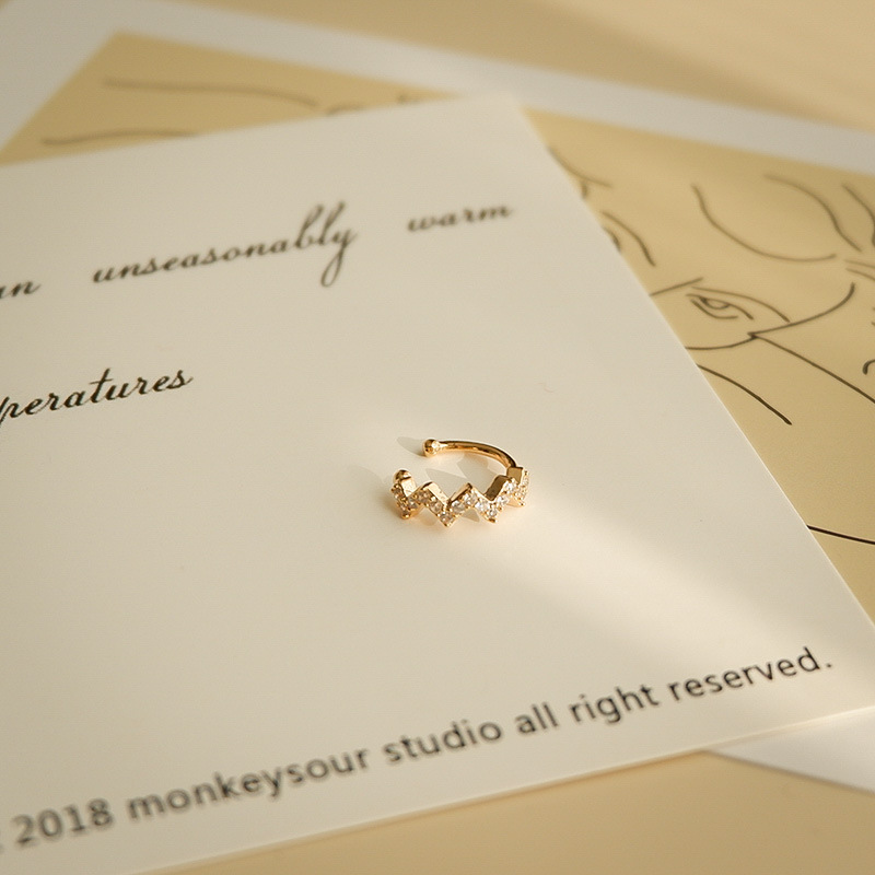 Women's Earrings Korean Style Small And Exquisite Temperament