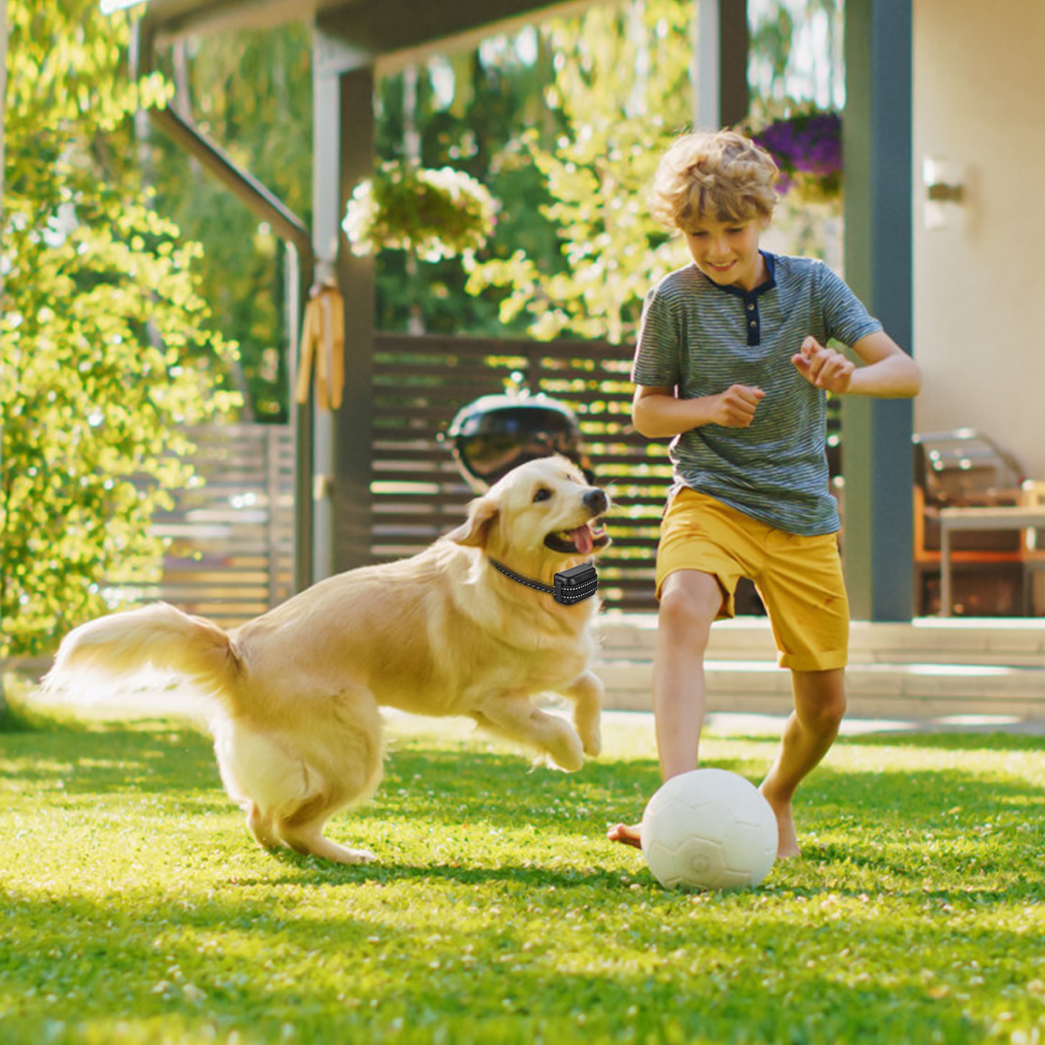 2 In 1 Wireless Dog Fence System With Training Collar Invisible Dog Fence IP68 Waterproof With 722FT Adjustable Range Beep Vibration Static Shock — foto 17