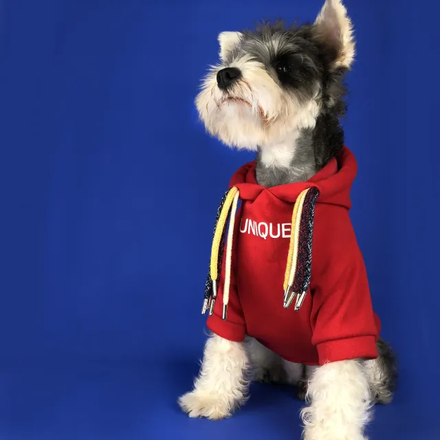 Pug Dirty Braids And Velvet Pet Sweatshirt Red - Shop at LoveMi