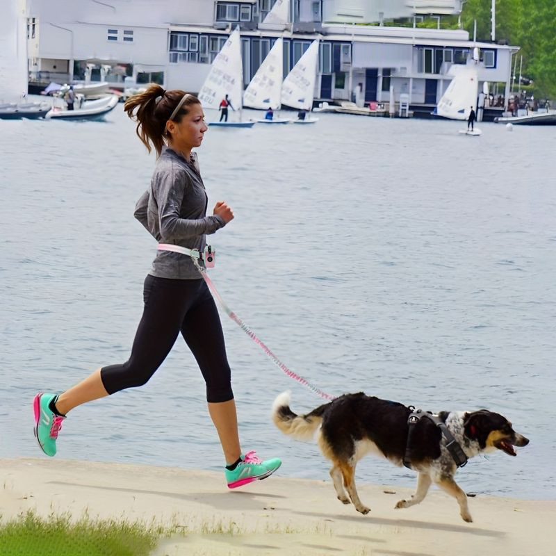 Hands-Free Dog Leash & Waist Bag