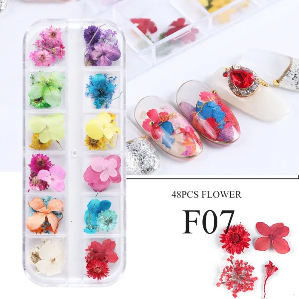 Nail Art Dry Flower 12 Grid Boxed Colorful Daisy Gypsophila Real Flower Nail Jewelry F07 - Shop at LoveMi