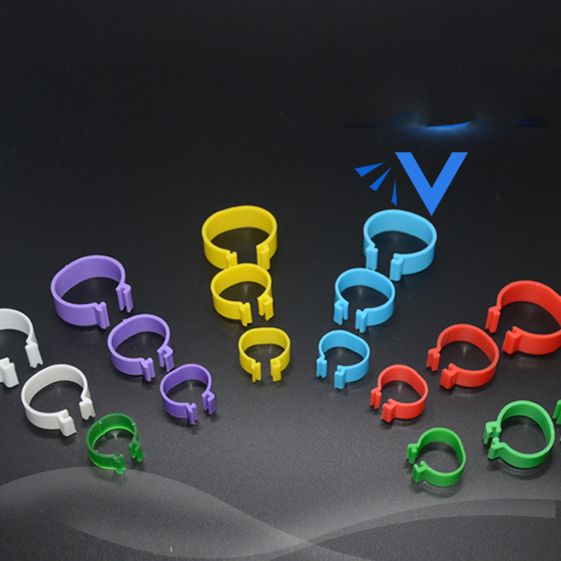 Small Pet Double Sticky Fly Bowl