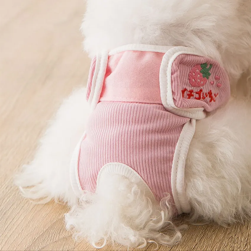 Sanitary Napkin Pet Menstrual Aunt Pants - Zhizhi Berry