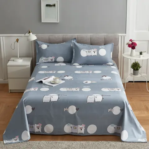 Single Double Bed in Student Dormitory