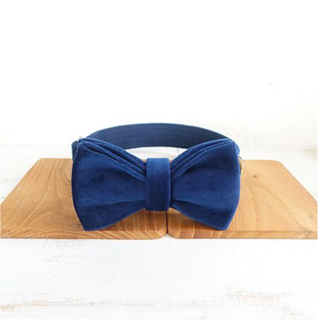 Bow Tie plus Collar