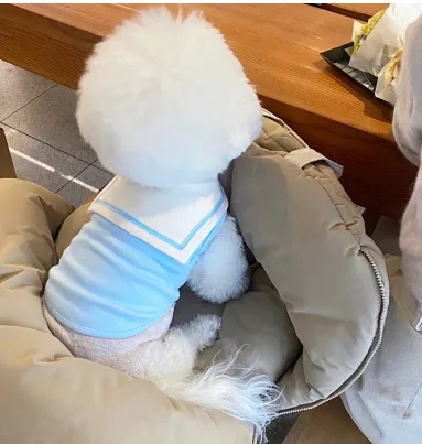 Thin Puppy Dog Clothes Cat Pet Small Puppies Spring And Summer Sky Blue - Shop at LoveMi