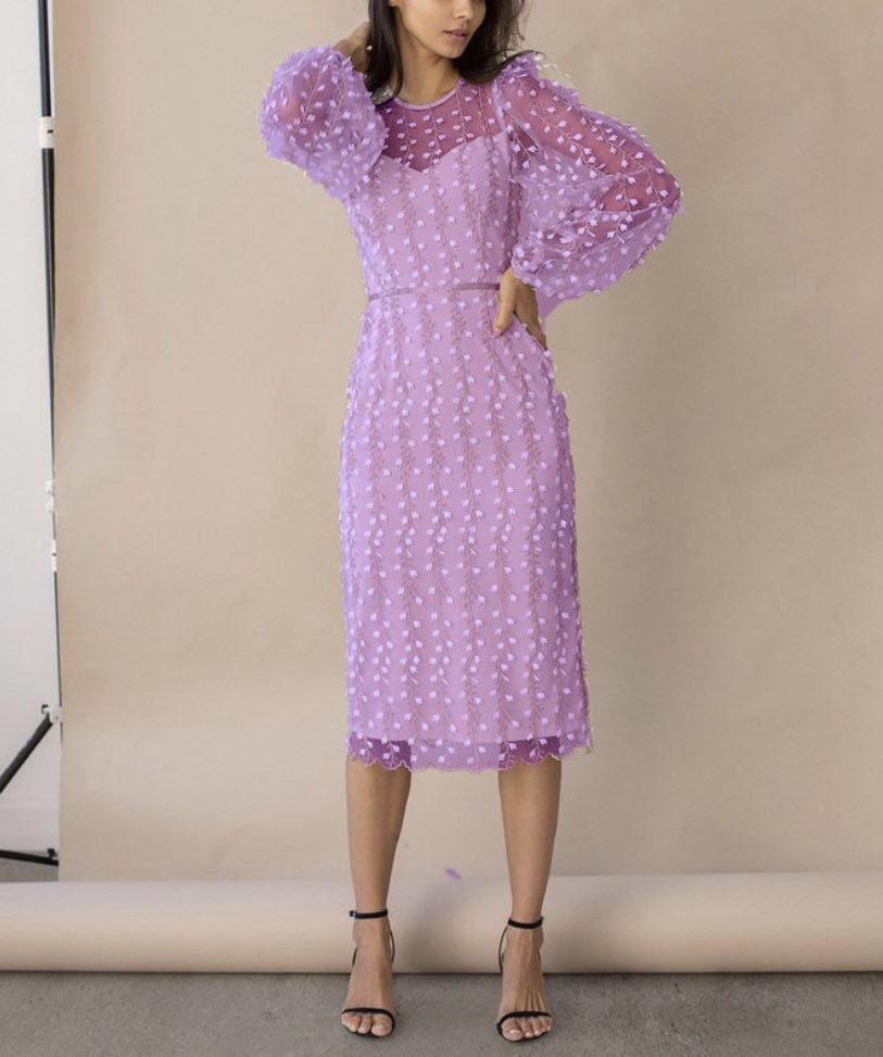 Embroidered Mesh Dress, picture 2 of 5