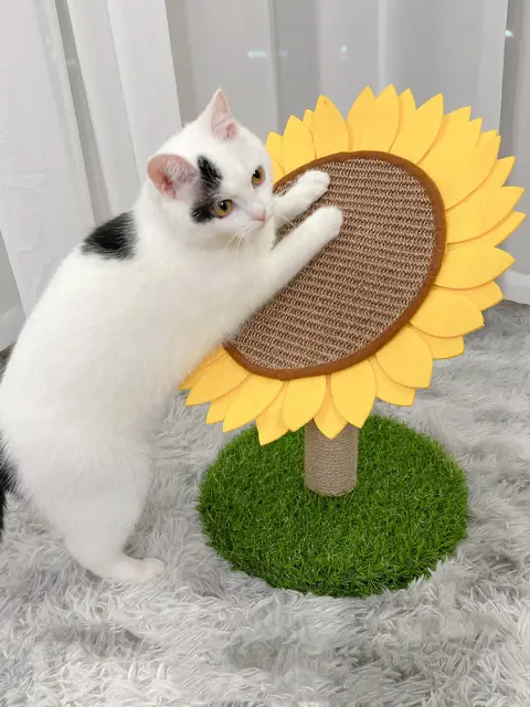 Cat Vertical Cat Scratching Board Nest House Grinding Claws