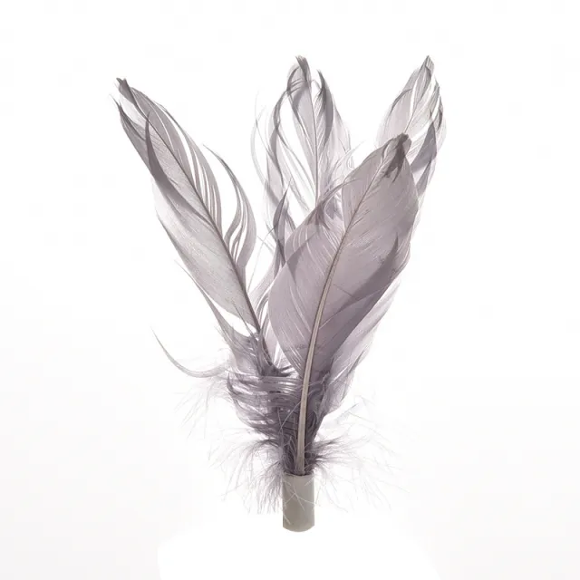 Pet Tumbler Feather Cat Teaser From Hi Interactive Electric Toy Accessories - Shop at LoveMi