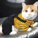 Yellow Stripes