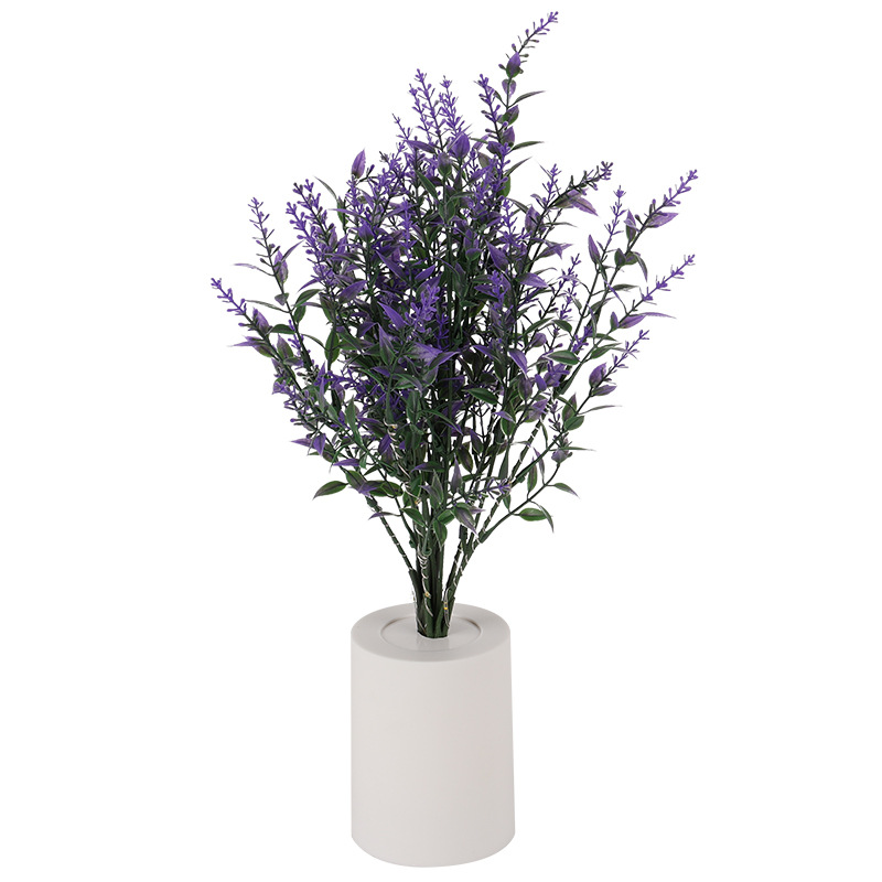 Lavender Small Night Lamp