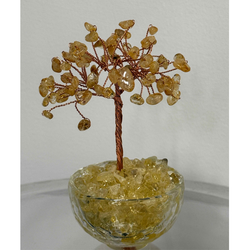Feng Shui Home