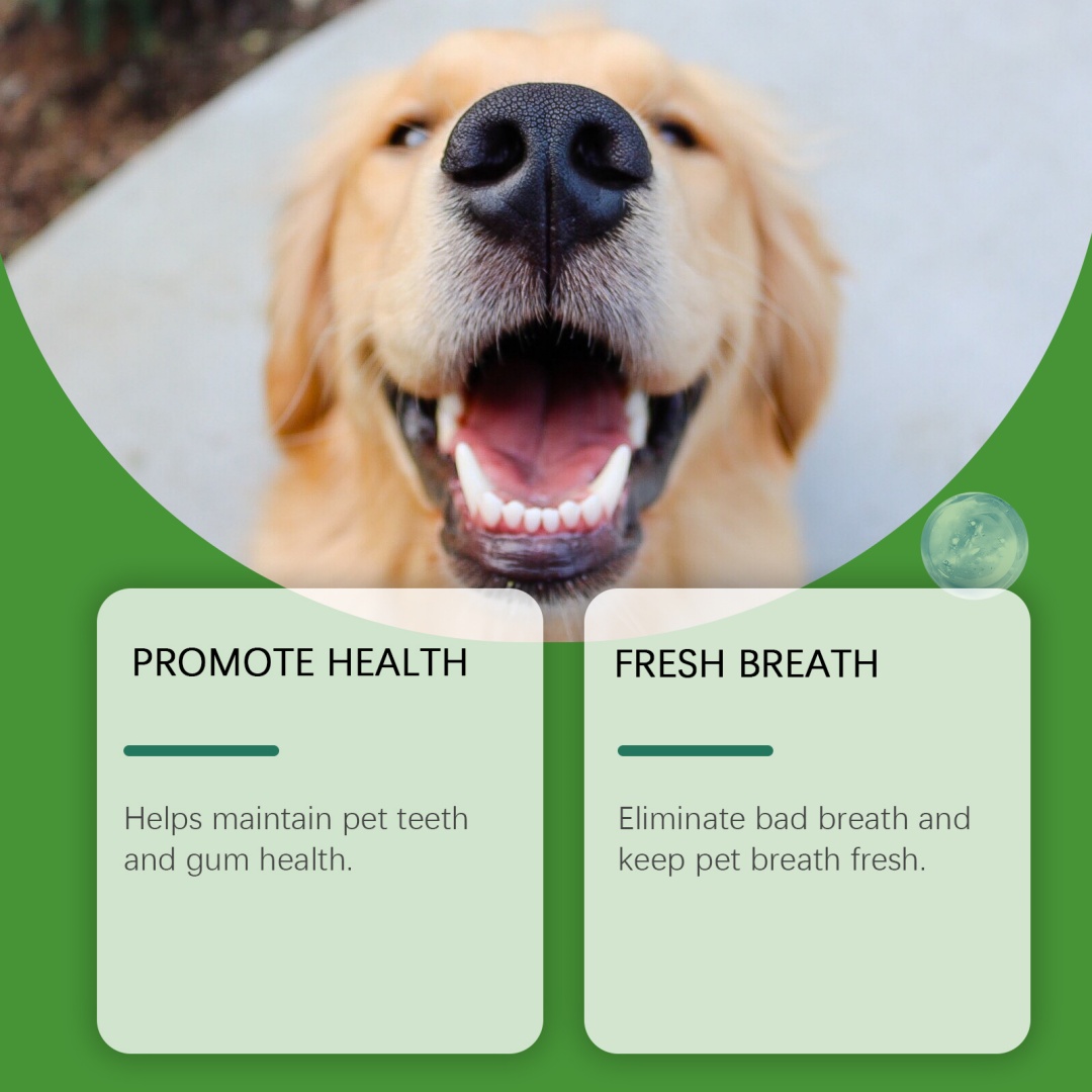 Dog Teeth Cleaning Powder 2