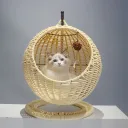 Apricot Pp Rattan Woven