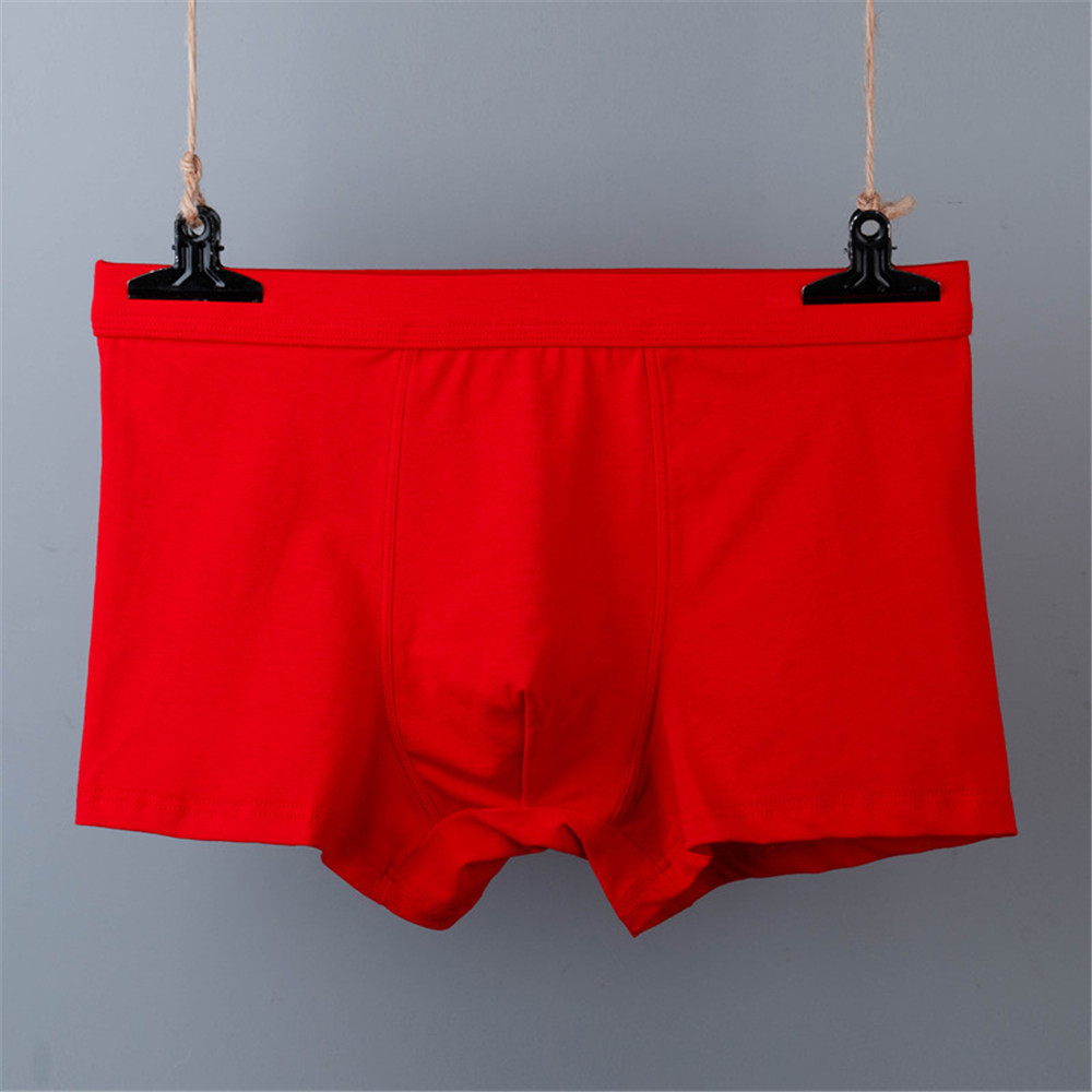 Title 5, Fatty Plus Size Mid-high Waist Thin Boxer Briefs