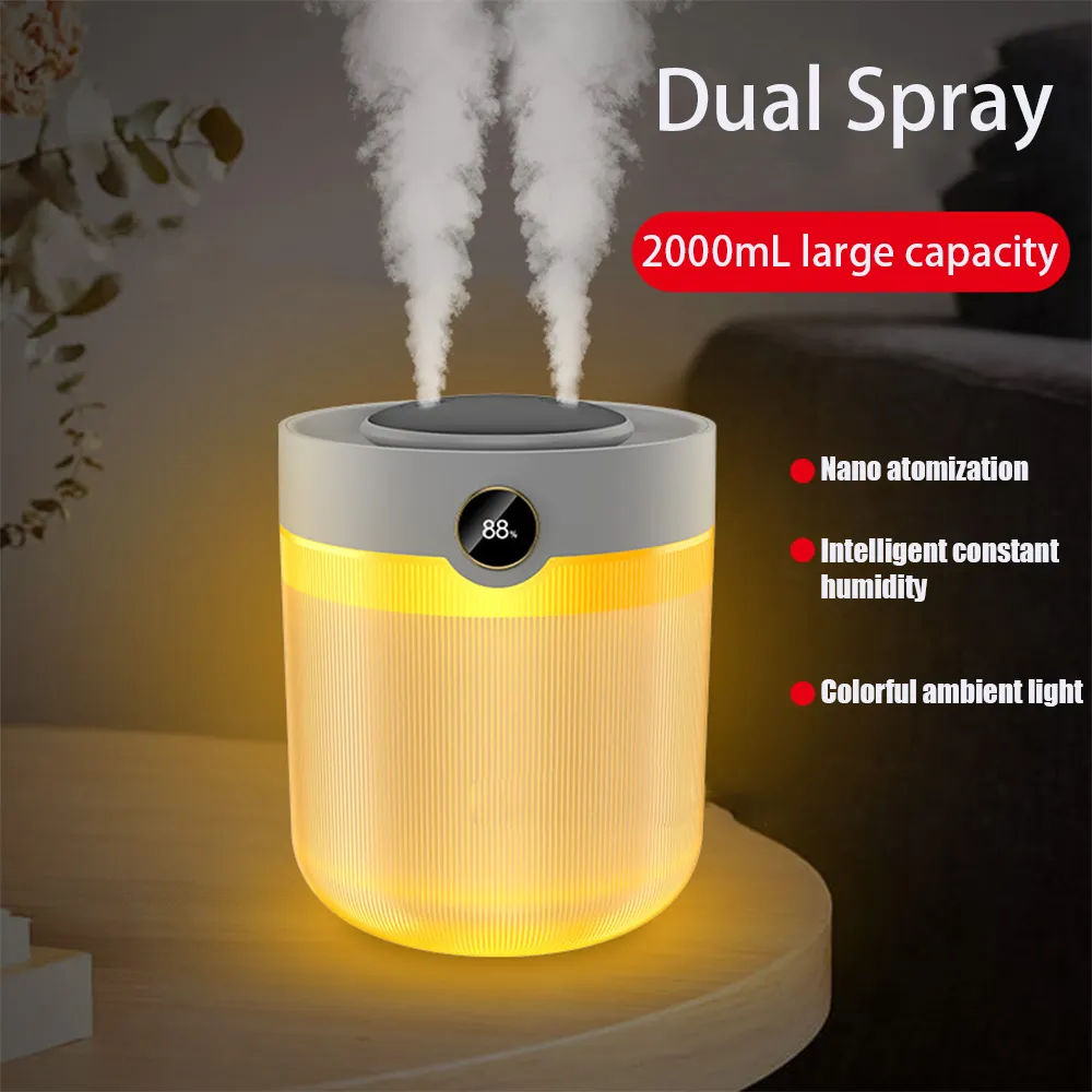 Large Capacity 2L Humidity Digital Display Double
