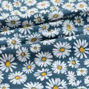 Chrysanthemum Blue