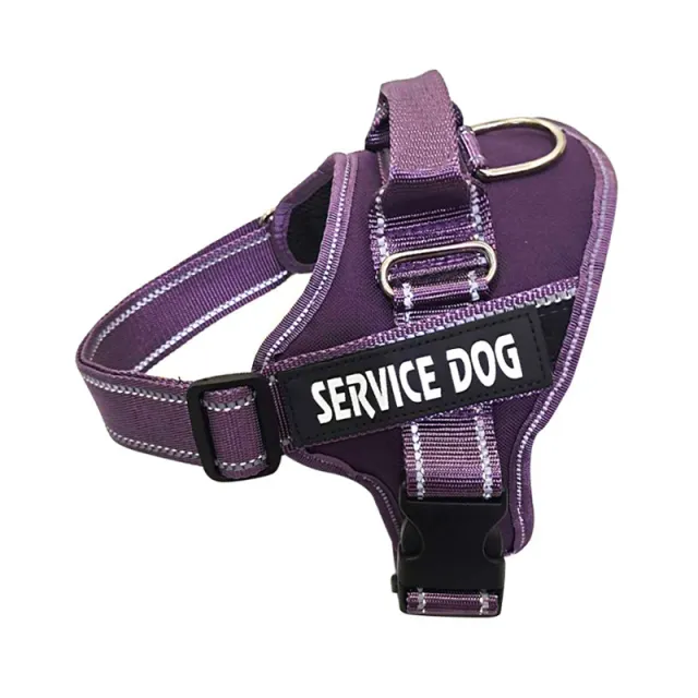 Personalized Copybook Reflective Dog Harness Purple - Shop at LoveMi