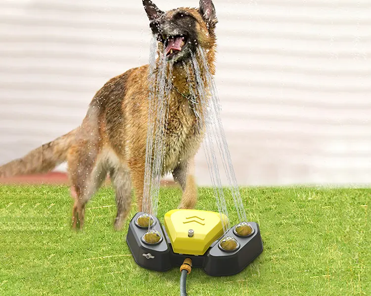 Amazon Selection Pets Cats And Dogs Smart