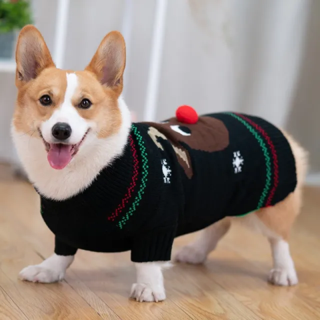 Padded Coat Pet Padded Winter Shiba Black - Shop at LoveMi