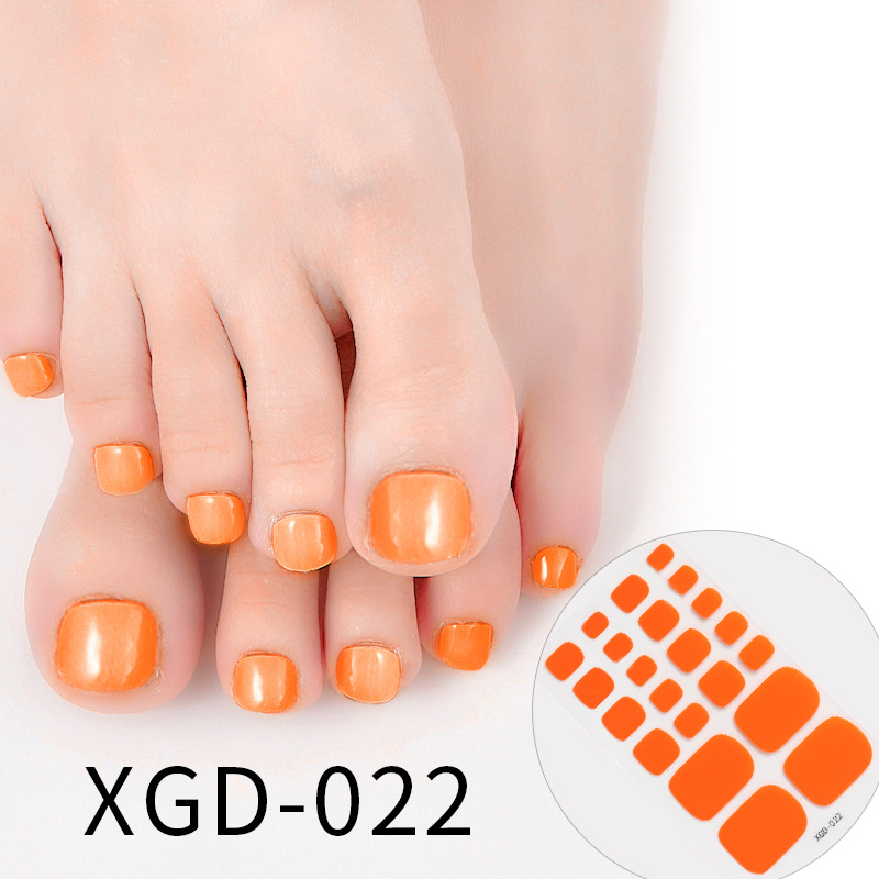 XGD 22