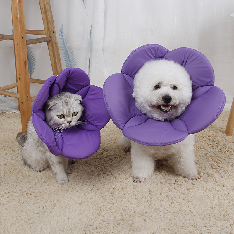 Title 9, Beauty flower anti-scratch pet protective cover...