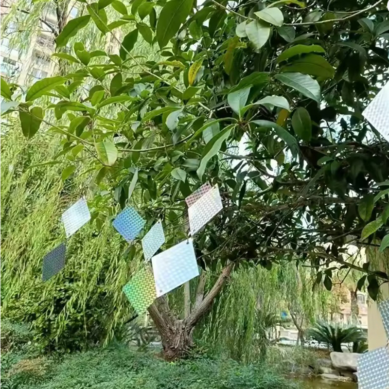 24pcs Reflective Discs,Bird Repellent Goods, Pigeon Repellent, Crow Protection, Swallow Repellent, High Intensity Double-Sided Reflective, 360 Rotation, Thicken Material