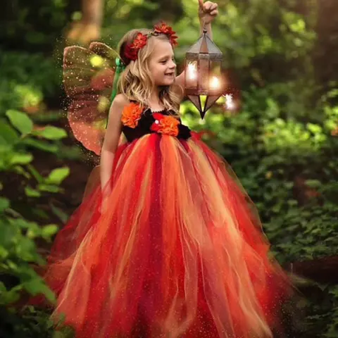 Fairy Puffy Net Dress Performance