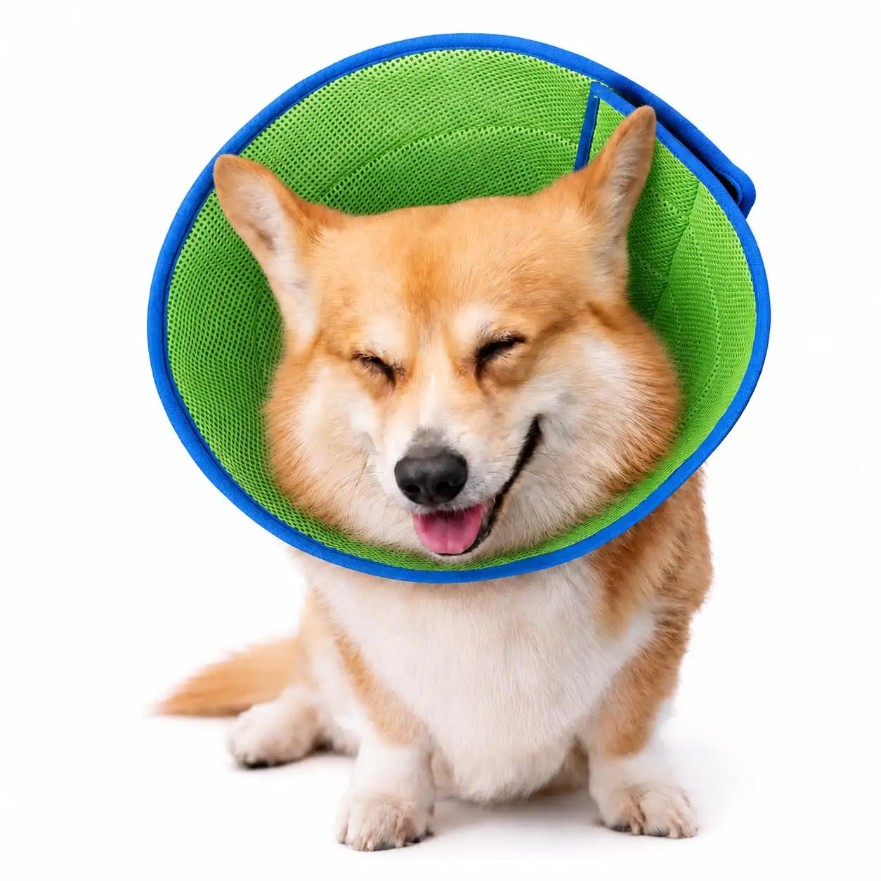 Soft Dog Cone Collar To Stop Licking