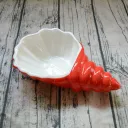 Red Conch