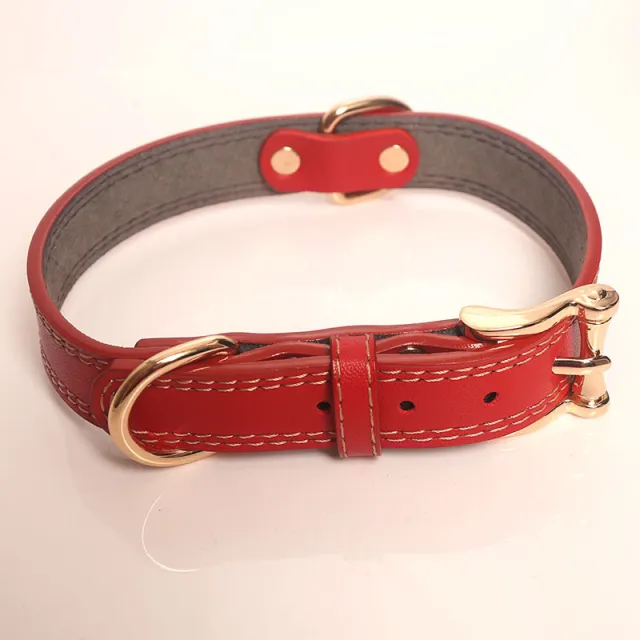 Leather Dog Collar Set Traction Rope Multi purpose Red Without Dog Tag - Shop at LoveMi