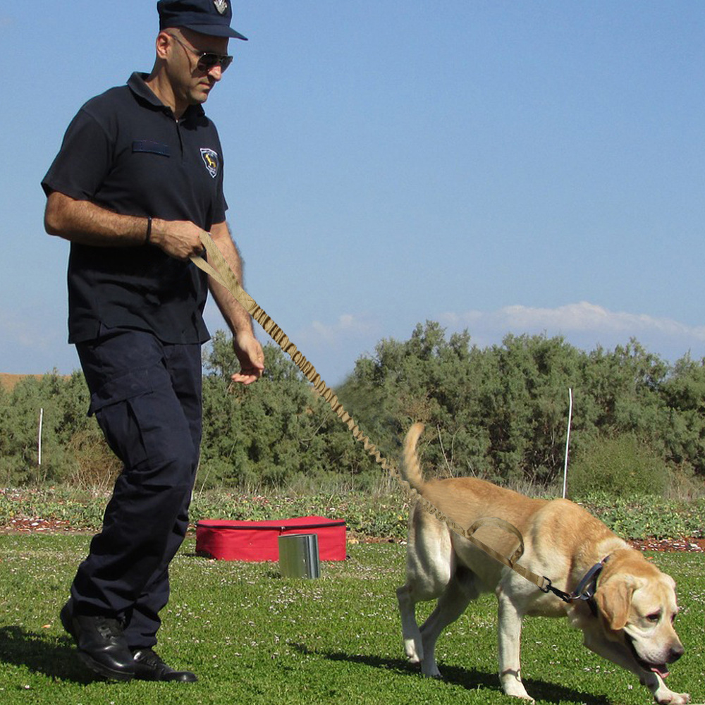 Title 4, Tactical Dog Leash & Adjustable Military Tactic...