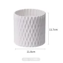 White Without Lid