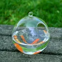Glass Ball