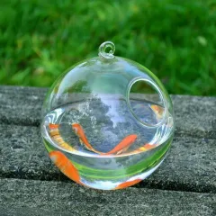 Hanging Glass Vase Fish Tank - Glass Ball - View 1
