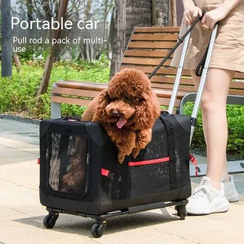 Portable Car Pet Trolley Bag for Going Out