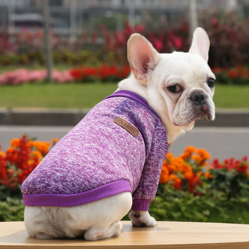 Fall Winter New Style Sweater Two-legged Clothes Dog Supplies - Purple