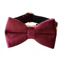 Bowknot Dog Pen