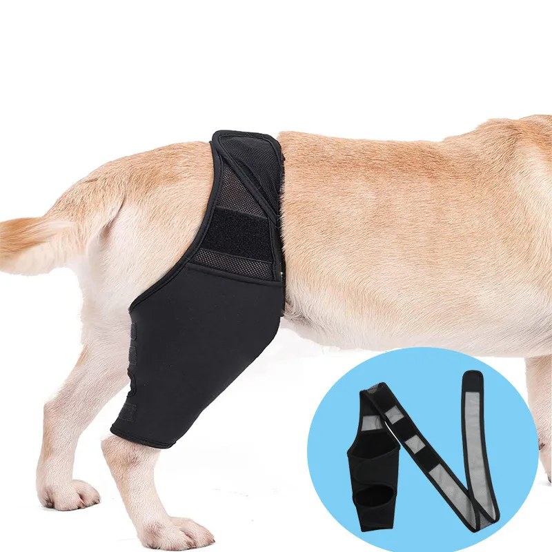 Pet Knee Pads for Joint Injury Recovery Legs Protector