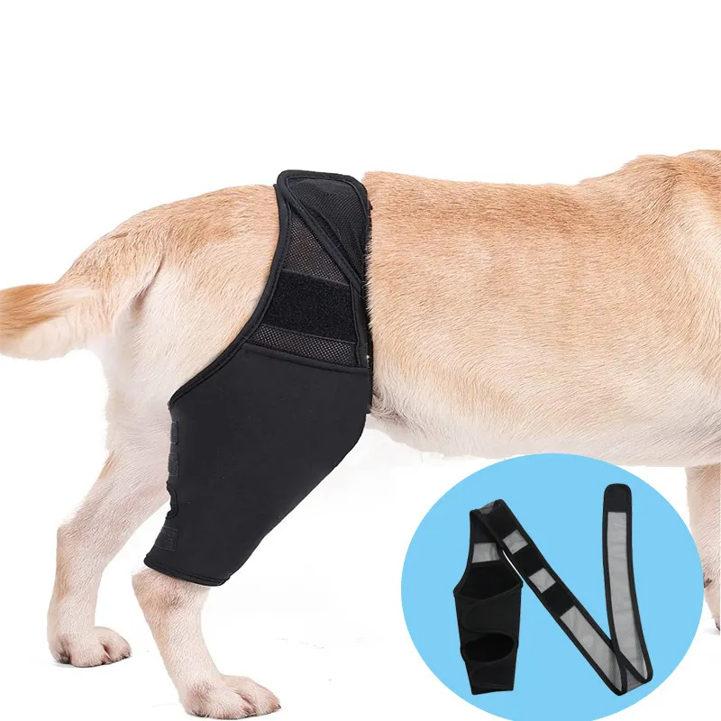 Pet Knee Pads For Joint Injury Recovery