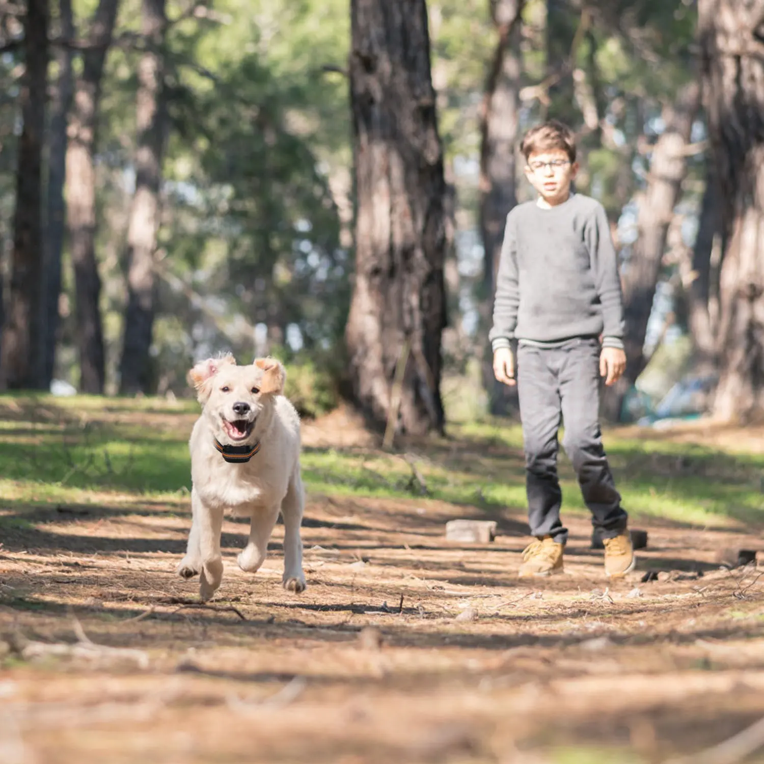 2 In 1 Dog GPS Fence Tracker