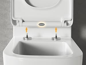 Toilet Seat