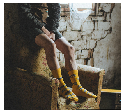 Retro Male Hip-hop Spring And Autumn Long Tube Street British Socks