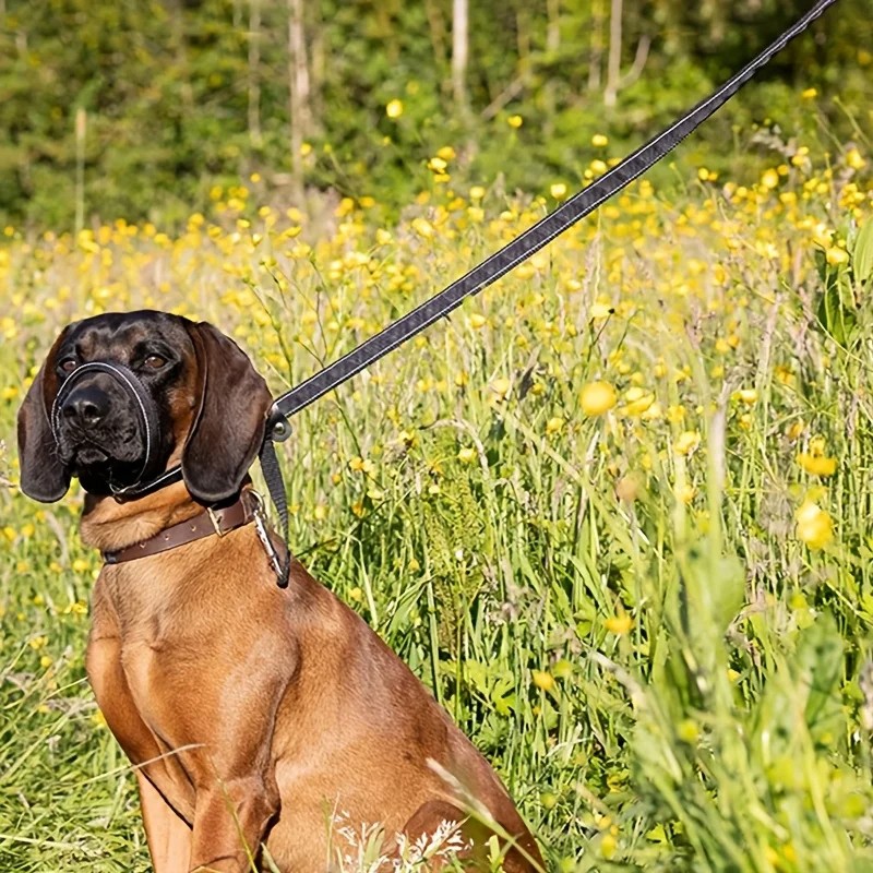 Figure Of 8 Dog Lead With Soft Comfy Padded Loop Handle And Nose Pads — image 2