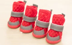 Dog Shoes Small Dog Teddy Pet - Red - View 1