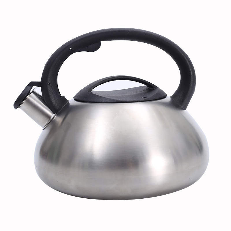 Title 5, Stainless Steel Whistle Kettle